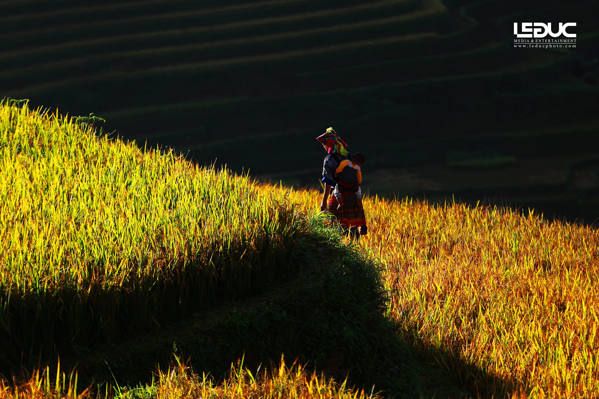 Đường về nhà ở Mù Căng Chải (2)